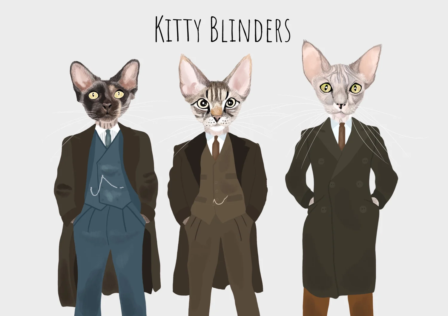 Plakat Kitty Blinders