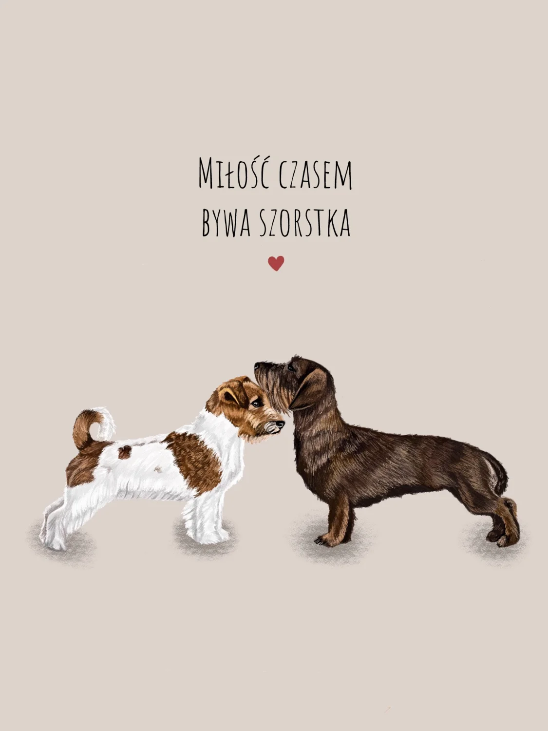 Plakat Szorstka Miłość